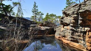 В Караганде обсудили развитие Каркаралинского нацпарка