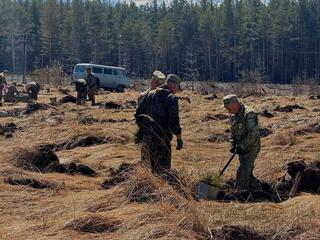 В Риддере высадили более 20 тысяч деревьев