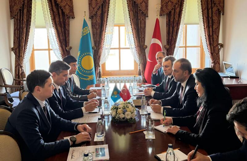 Энергетика стран тюркского мира: цифровизация и совместные проекты