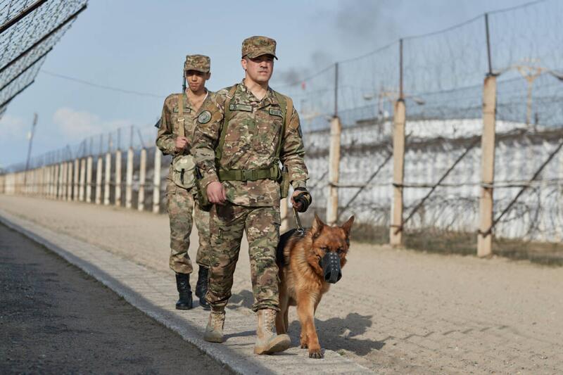 Более 3000 нарушителей задержаны военнослужащими Нацгвардии с начала года
