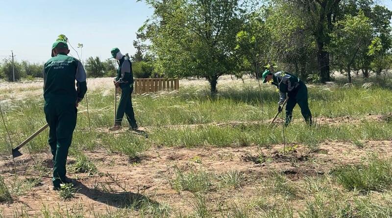 Экологическое воспитание: забота о природе – в руках молодёжи