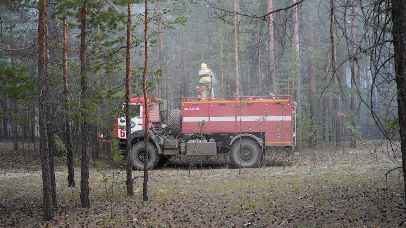 Лесной пожар на территории ГЛПР «Семей орманы» локализован