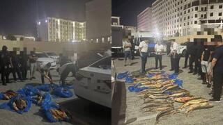 Полицейские изъяли более 200 кг осетра в Мангистауской области