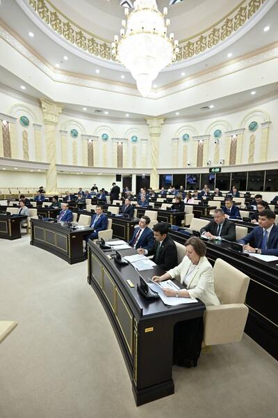 В Сенате обсудили проактивную экономическую политику и новые инвестиционные возможности Казахстана