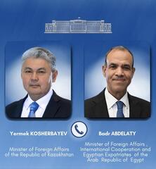 Министры иностранных дел Казахстана и Египта обсудили ситуацию в регионе