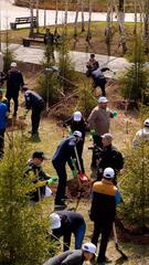 Около 300 деревьев высадили столичные жители в парке «Ататюрк»