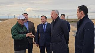 В Казахстане стартует программа «Игілік» по развитию племенного животноводства