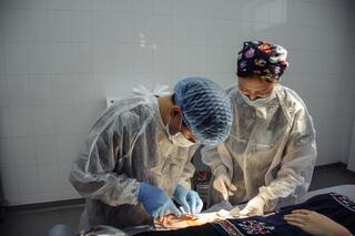 Травматологи и ортопеды проведут бесплатный прием детей в Астане