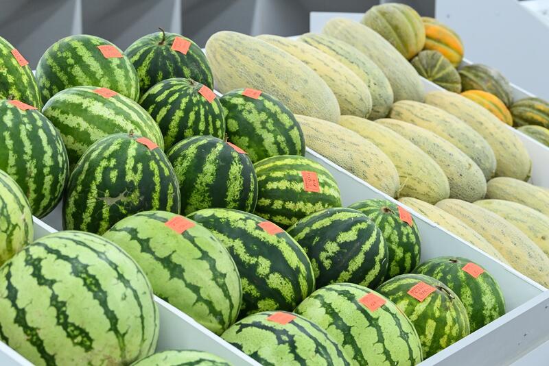 Коммунальный рынок «Syr darya» открылся в Кызылорде