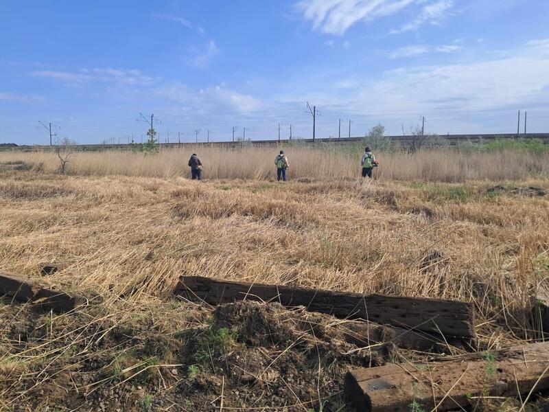 Спасатели Астаны напоминают о правилах безопасности в сезон пожаров