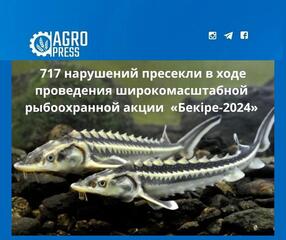 717 нарушений пресекли в ходе проведения широкомасштабной рыбоохранной акции «Бекіре-2024»