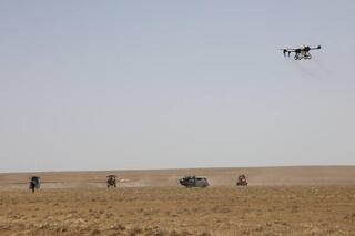 Айдарбек Сапаров поручил усилить меры по защите сельхозугодий от саранчовых вредителей