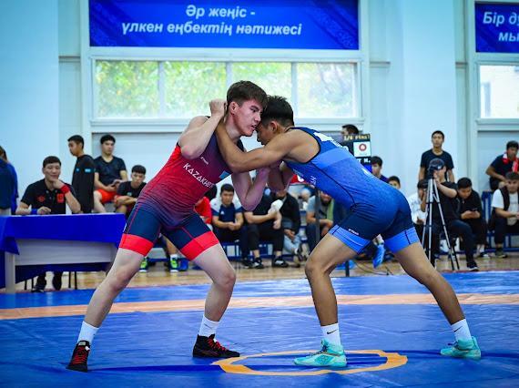 V летние сельские юношеские игры: определены по греко-римской борьбе