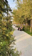 В Турксибском районе появились новые досуговые пространства.