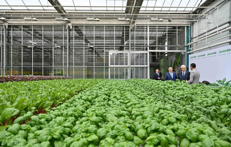 Глава государства посетил тепличный комплекс GREEN ЕСО