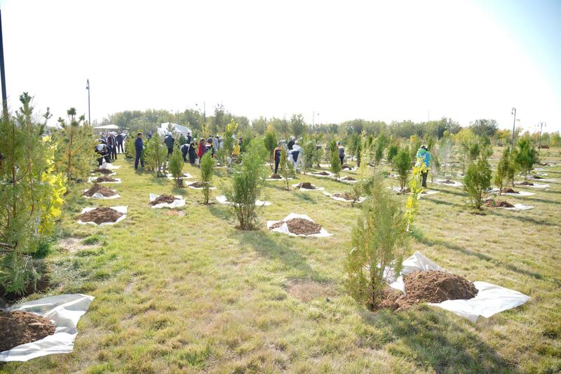 «ТАЗА КАЗАХСТАН»: В ПРОШЛОМ ГОДУ В ТУРКЕСТАНСКОЙ ОБЛАСТИ ВЫСАЖЕНО БОЛЕЕ 1 МЛН САЖЕНЦЕВ