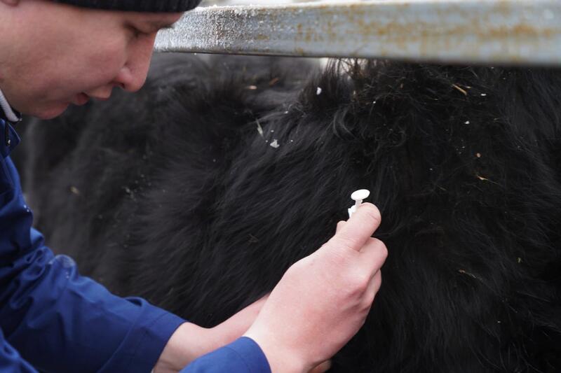 ТУРКЕСТАН: ОБСУЖДЕНЫ АКТУАЛЬНЫЕ ВОПРОСЫ АГРОПРОМЫШЛЕННОГО КОМПЛЕКСА