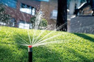 В Медеуском районе Алматы увеличивают объемы озеленения и развивают систему автополива