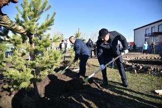 Марат Ахметжанов принял участие в посадке деревьев в Буландынском районе