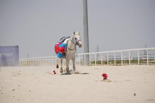 Алматинские спортсменки впервые выступят на Чемпионате мира по теңге ілу