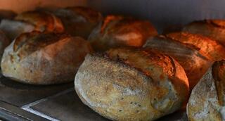 Бизнес с пылу-жару: в Жетісу молодой предприниматель наладил производство ремесленного хлеба