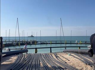 Садковое хозяйство мощностью 5 000 тонн морской форели в год запустили на Каспийском море