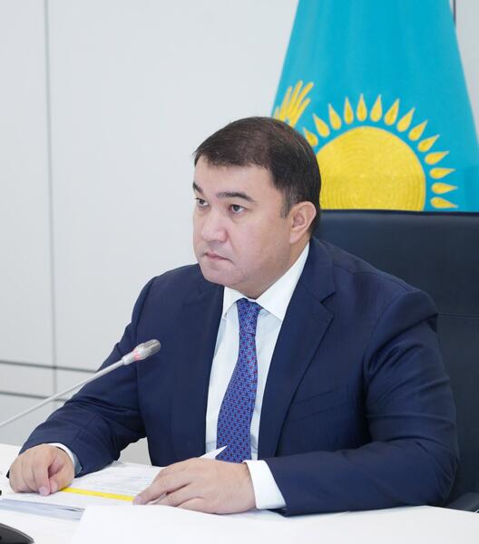 В ТУРКЕСТАНСКОЙ ОБЛАСТИ СОПРОВОЖДАЮТСЯ 377 ПРЕДПРИНИМАТЕЛЬСКИХ ПРОЕКТОВ НА СУММУ 58,5 МЛРД ТЕНГЕ