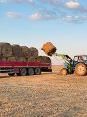 В Казахстане заготовлено 36 млн тонн кормов