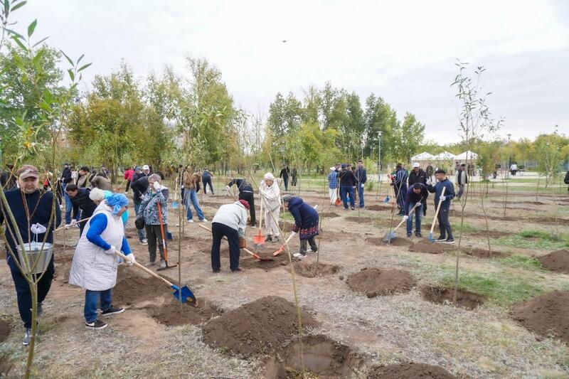 «Таза Қазақстан»: в столичном парке «Коктал» провели экоакцию по посадке деревьев