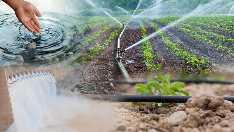 В Правила субсидирования поливной воды будут внесены дополнительные меры по стимулированию водосбережения