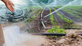 В Правила субсидирования поливной воды будут внесены дополнительные меры по стимулированию водосбережения