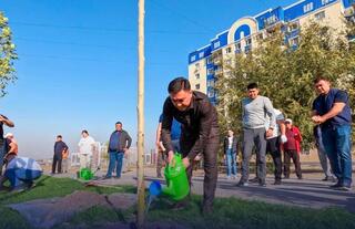 АКИМ ШЫМКЕНТА ПРИНЯЛ УЧАСТИЕ В ПОСАДКЕ ДЕРЕВЬЕВ ВМЕСТЕ С ЖИТЕЛЯМИ